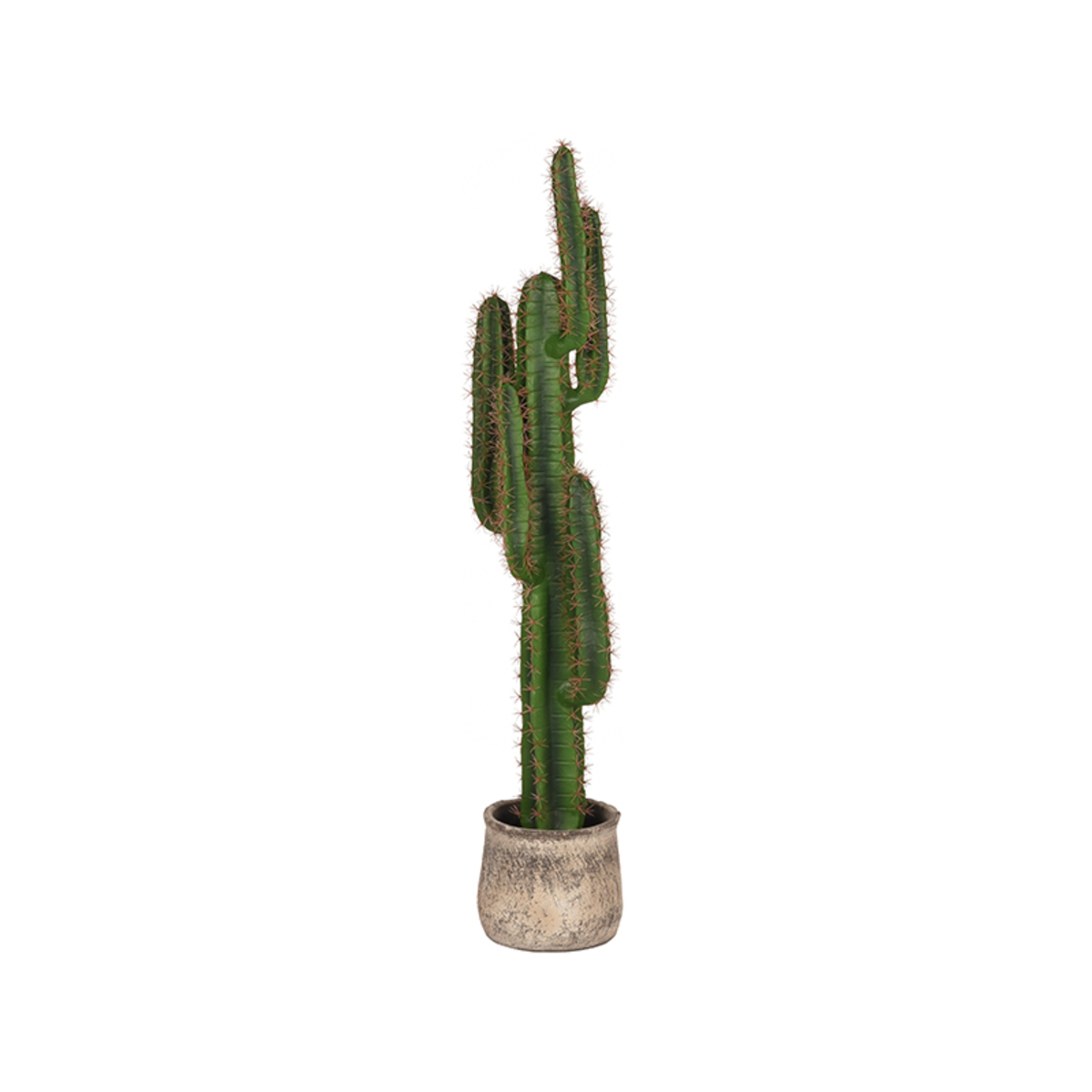 Decoratie Cactus - Vert - Plastique - Modern - LABEL51