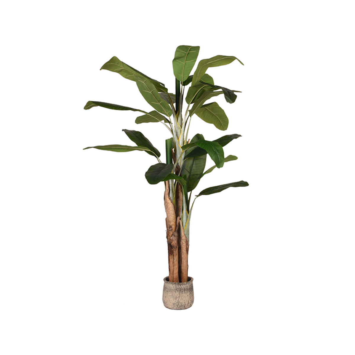 Decoratie Musa - Vert - Plastique - Modern - LABEL51
