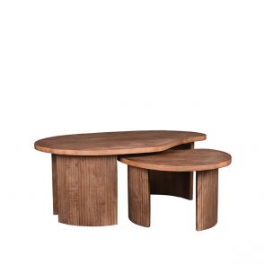 Salontafel Set Timon 100x58x40 cm