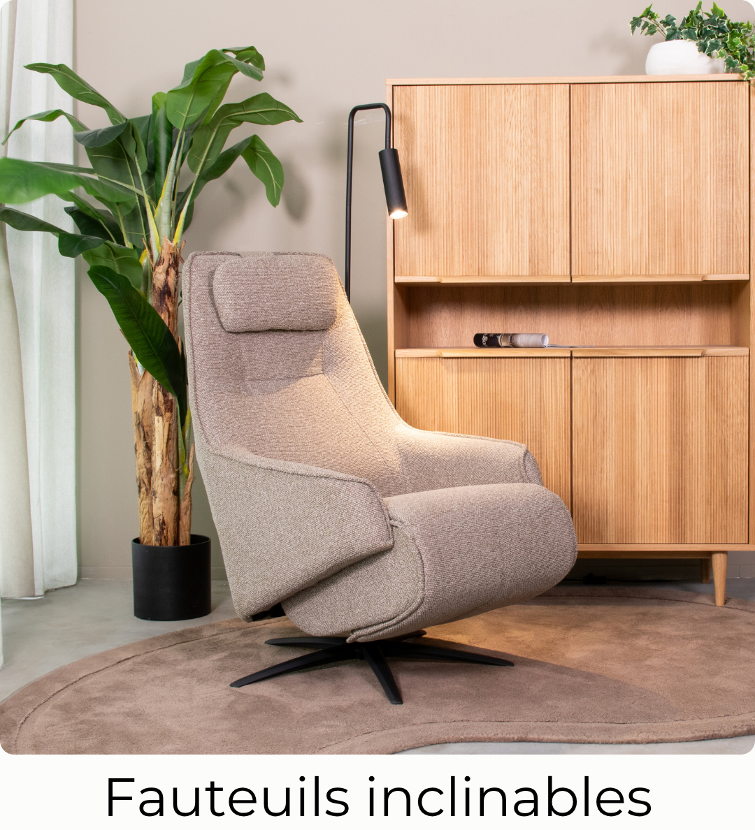 fr_fauteuils_inclinables_1